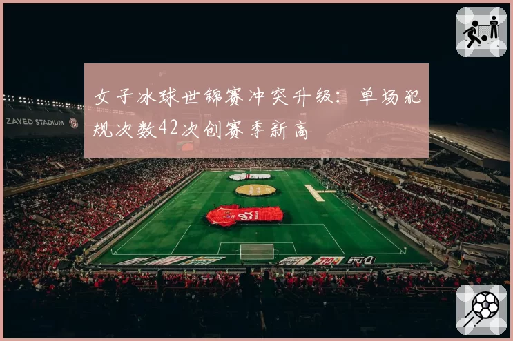 女子冰球世锦赛冲突升级:单场犯规次数42次创赛季新高
